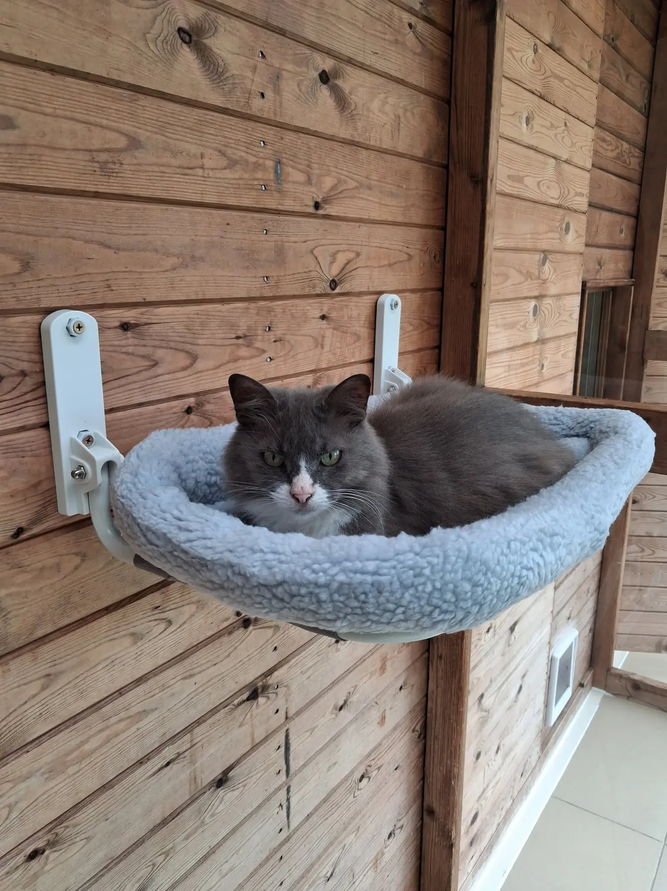 A relaxed cat resting in a warm chalet